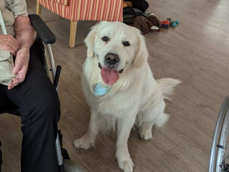 Balu1